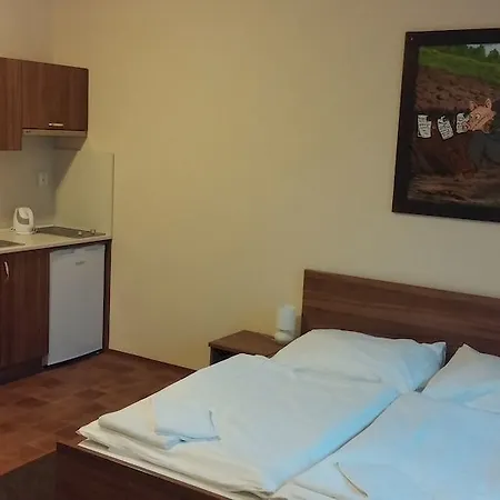 U Svejku Апартаменты
