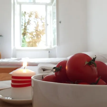 Apartmán Cimburkova *