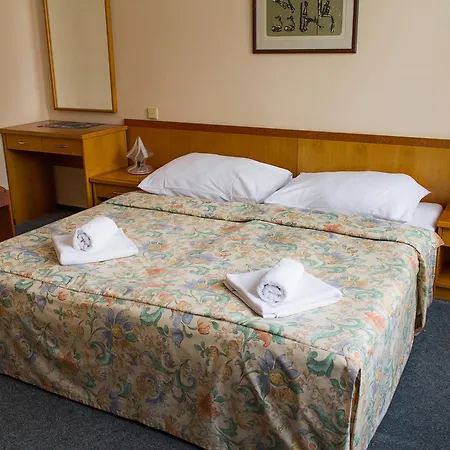 Hotel Dalimil 3*