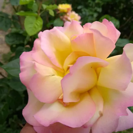 Retro Challenge And Garden Praha