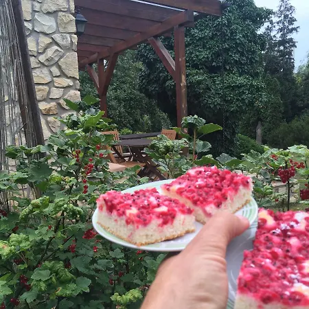 Karnet