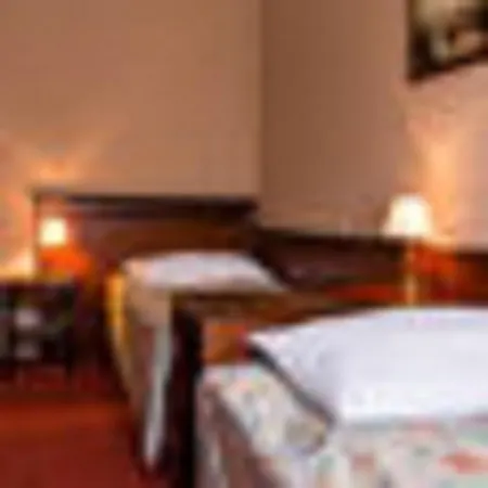 Hotel Dalimil 3*