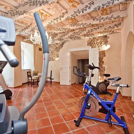 Hotel Alchymist Castle