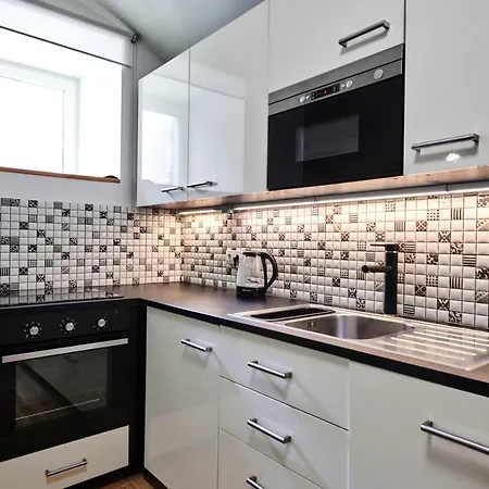 Apartment Slezska 58