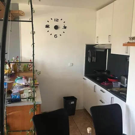 דירה Shared Flat *