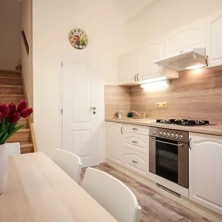 Family Duplex On Wenceslas Square