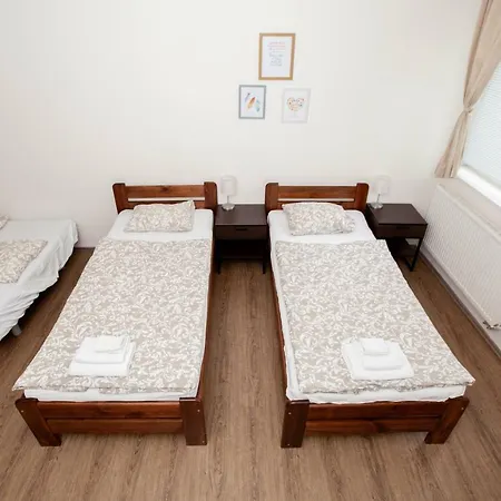Zizkov Cosy Apartment *