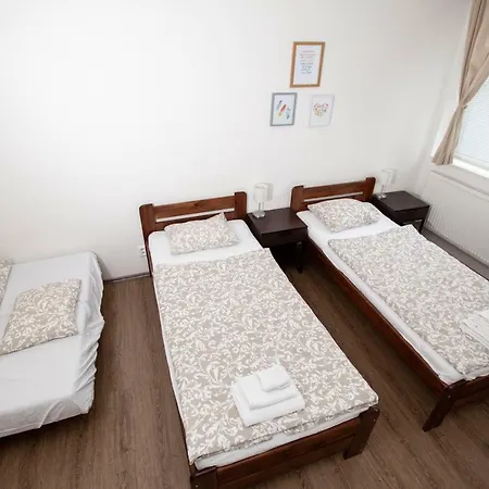 Zizkov Cosy Apartment *