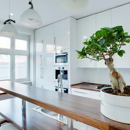 Apartment Royal Near River - Nek4th *