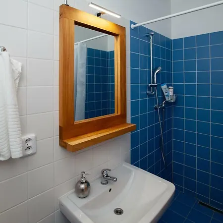 Apartment Zizkov Cosy