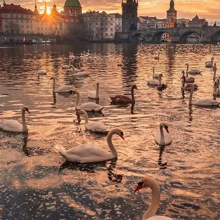 Blue Prague Aparthotel 3*