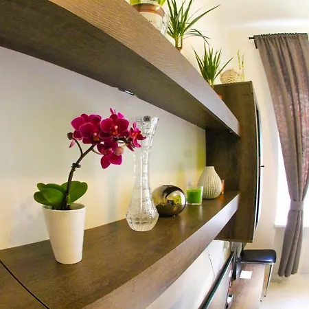 Apartament In The Center Of *