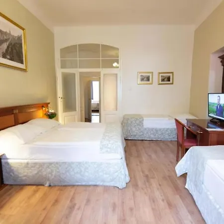 Hotel Wenceslas Square - Czech Leading