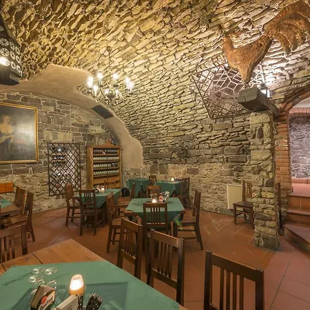 Otel Cerny Slon 4*