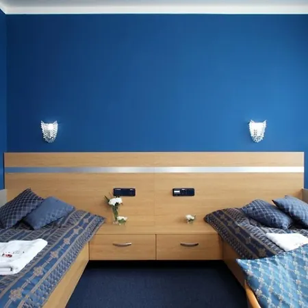 Hotel U Karla