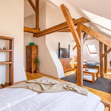 Apartment Stupartska - Tyn Church View With Terrace Prague