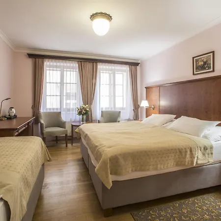 Otel Cerny Slon 4*