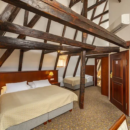 Cerny Slon Otel 4*