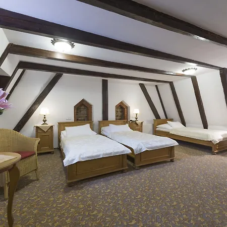Otel Cerny Slon 4*