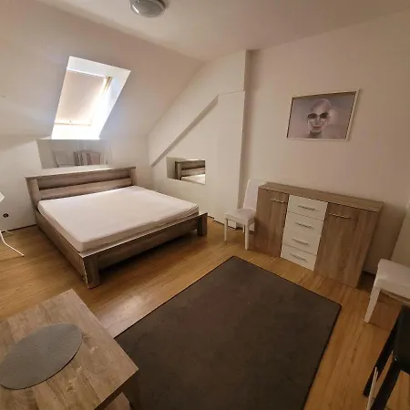 Apartmán Zizkov B *