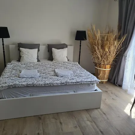 Airport Homestay szállás *