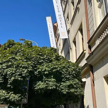 Hotel Fleur De Lis 4*