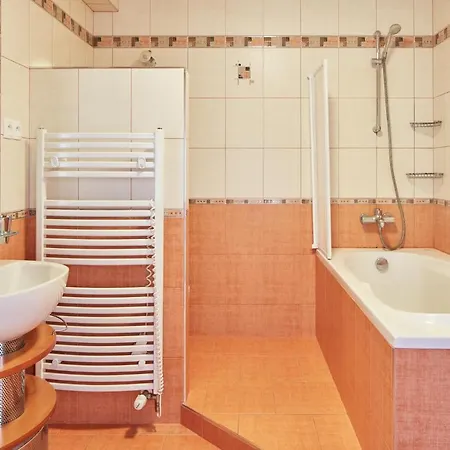 Spacious In Vrsovice By Days *