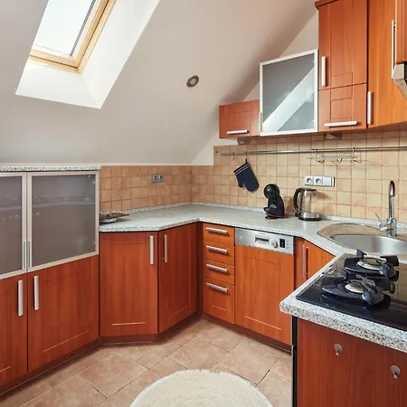 Spacious In Vrsovice By Days *