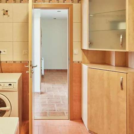Spacious In Vrsovice By Days