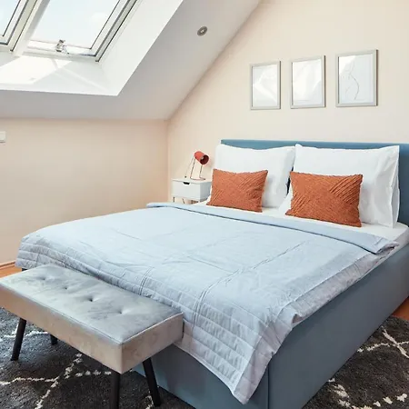 Spacious In Vrsovice By Days *