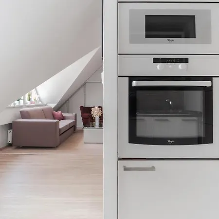 Attic Maisonette In Stresovice By Days * Prague