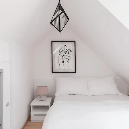 Attic Maisonette In Stresovice By Days Apartment