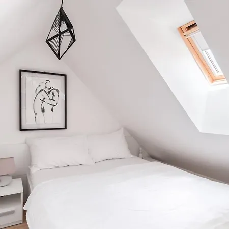 Attic Maisonette In Stresovice By Days Apartment