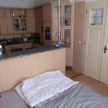 Private In Shared Luxurious Palace Like With 2 Bathrooms Including Whirlpool And Virtual Reality ゲストハウス *