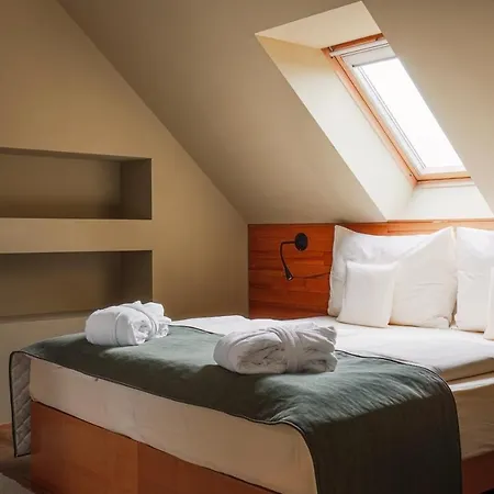 Park Congress & Wellness Otel