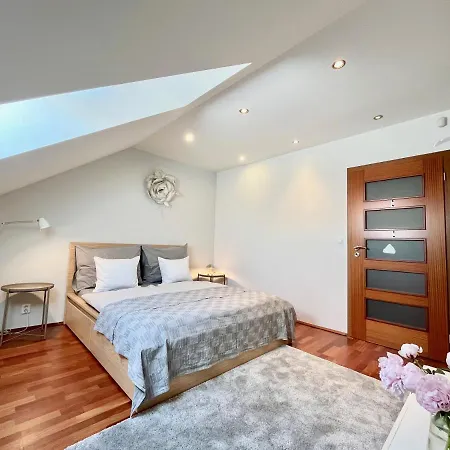 Luxury Penthouse Prague