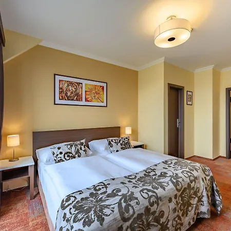 Wellness Step Prag