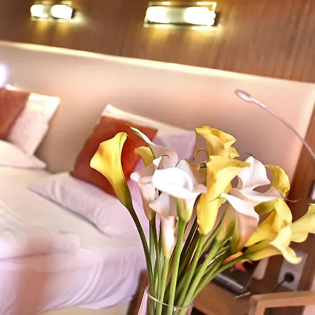 Hotel Ametyst