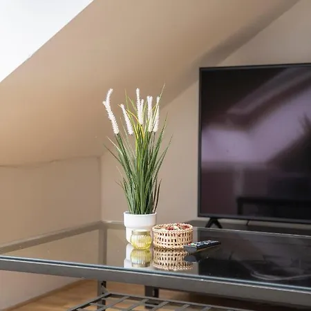 Apartment Free Parking- Cozy In Historical Building Center