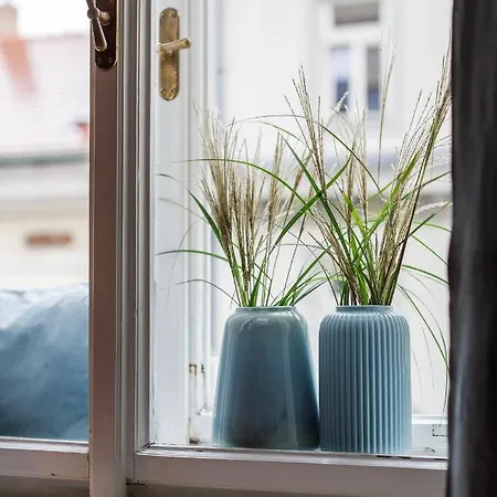 Apartmán Luxusni Apartman U Centra Prahy Praha