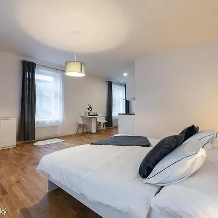 Apartment Petrska *