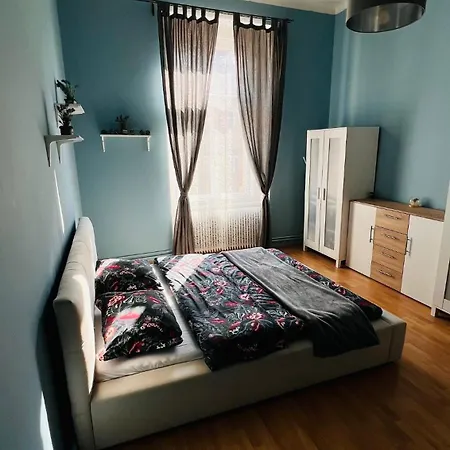 Apartment I.p.pavlova *