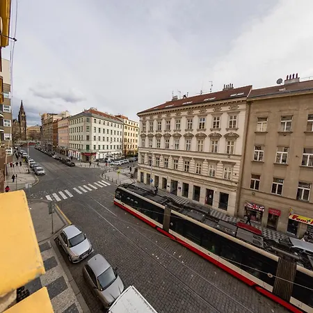I.p.pavlova Prague