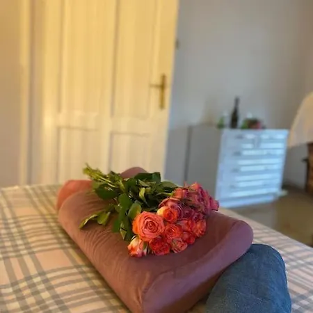 Flat In The House & Dog Friendly *