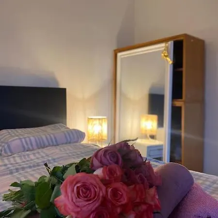 Flat In The House & Dog Friendly Apartment