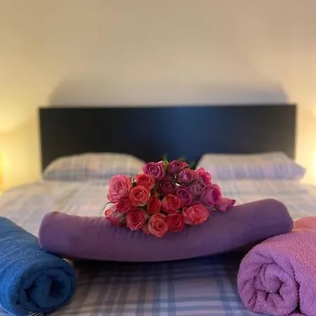 Flat In The House & Dog Friendly *