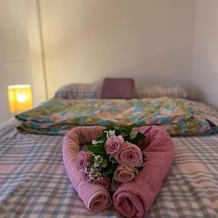 Flat In The House & Dog Friendly