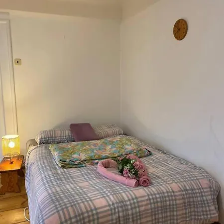 Flat In The House & Dog Friendly *