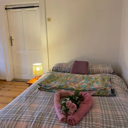 Flat In The House & Dog Friendly Prague