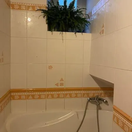 Flat In The House & Dog Friendly Apartment